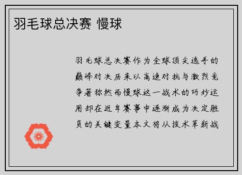 羽毛球总决赛 慢球